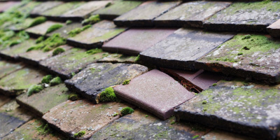 Weeley roof repair costs